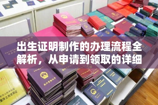 界首出生证明制作的办理流程全解析，从申请到领取的详细指南