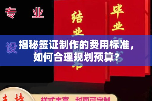 界首揭秘签证制作的费用标准，如何合理规划预算？