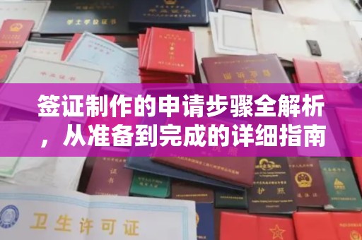 界首签证制作的申请步骤全解析，从准备到完成的详细指南