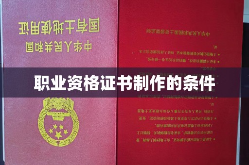 界首职业资格证书制作的条件
