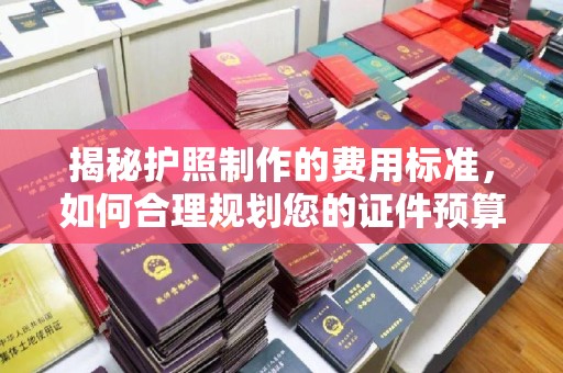 界首揭秘护照制作的费用标准，如何合理规划您的证件预算