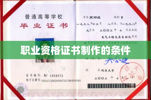 界首职业资格证书制作的条件