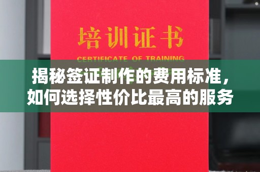 界首揭秘签证制作的费用标准，如何选择性价比最高的服务？