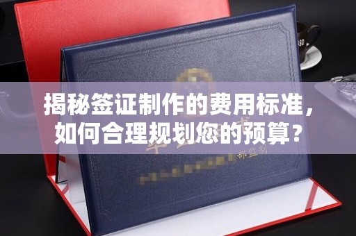 界首揭秘签证制作的费用标准，如何合理规划您的预算？