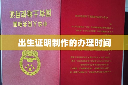 界首出生证明制作的办理时间