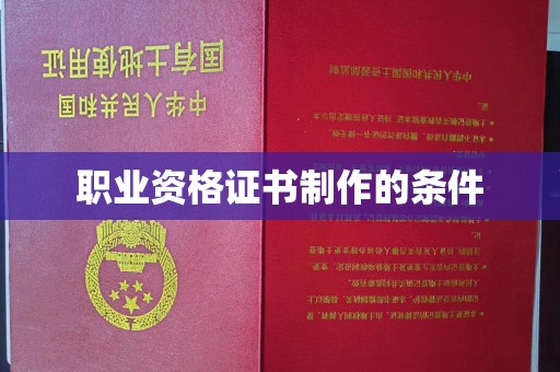 界首职业资格证书制作的条件