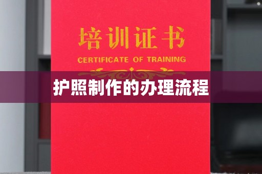 界首护照制作的办理流程