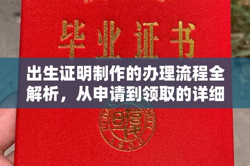 界首出生证明制作的办理流程全解析，从申请到领取的详细指南