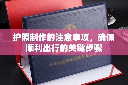 界首护照制作的注意事项，确保顺利出行的关键步骤