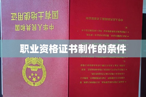 界首职业资格证书制作的条件