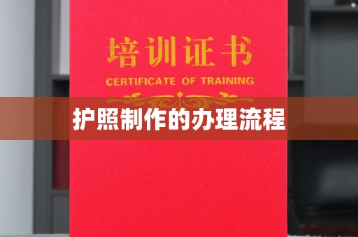 界首护照制作的办理流程