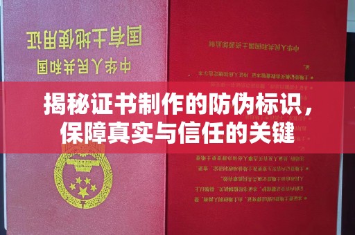 界首揭秘证书制作的防伪标识，保障真实与信任的关键