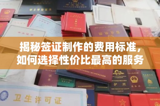 界首揭秘签证制作的费用标准，如何选择性价比最高的服务？